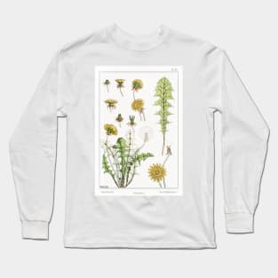 Dandelion (1896) Long Sleeve T-Shirt